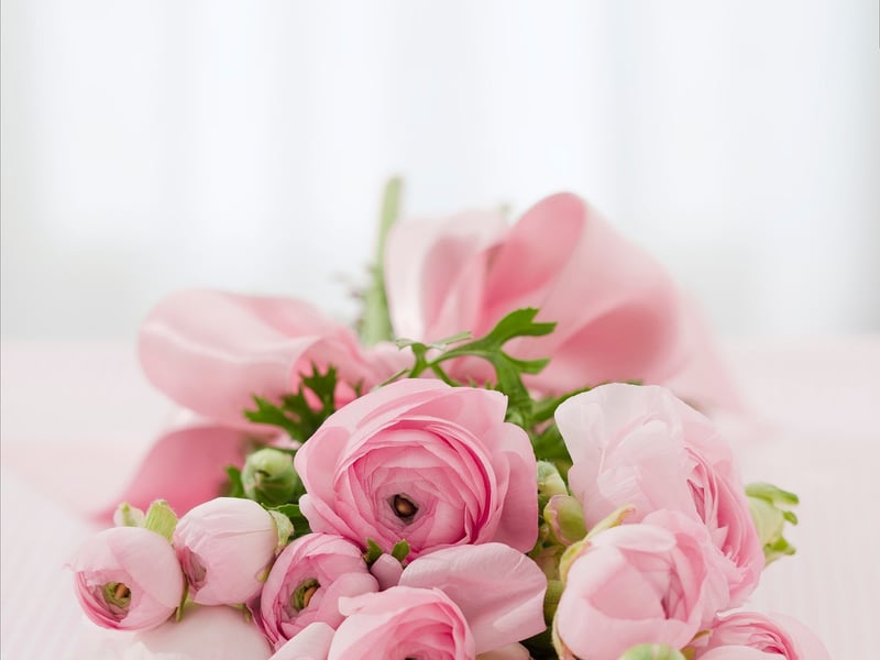 Botanical Bouquets
